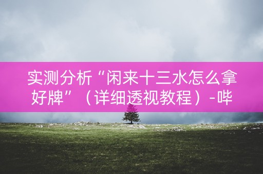 实测分析“闲来十三水怎么拿好牌”（详细透视教程）-哔哩哔哩