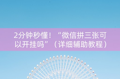 2分钟秒懂！“微信拼三张可以开挂吗”（详细辅助教程）-哔哩哔哩