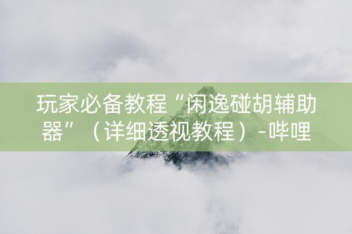 玩家必备教程“闲逸碰胡辅助器”（详细透视教程）-哔哩哔哩