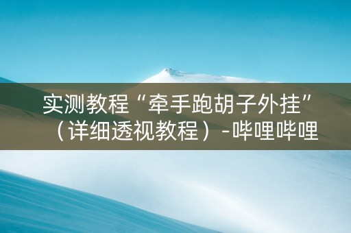 实测教程“牵手跑胡子外挂”（详细透视教程）-哔哩哔哩
