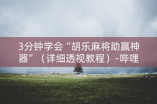 3分钟学会“胡乐麻将助赢神器”（详细透视教程）-哔哩哔哩