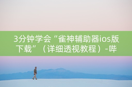 3分钟学会“雀神辅助器ios版下载”（详细透视教程）-哔哩哔哩