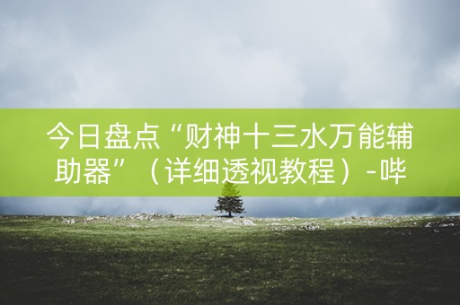 今日盘点“财神十三水万能辅助器”（详细透视教程）-哔哩哔哩