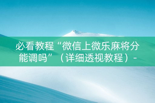 必看教程“微信上微乐麻将分能调吗”（详细透视教程）-哔哩哔哩