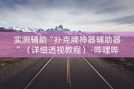 实测辅助“扑克牌神器辅助器”（详细透视教程）-哔哩哔哩