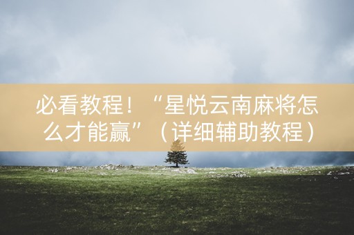 必看教程！“星悦云南麻将怎么才能赢”（详细辅助教程）-哔哩哔哩
