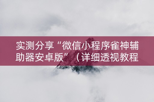 实测分享“微信小程序雀神辅助器安卓版”（详细透视教程）-哔哩哔哩