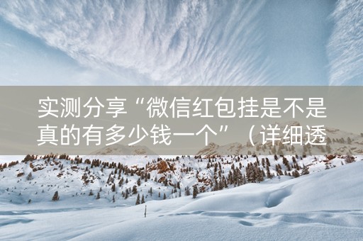 实测分享“微信红包挂是不是真的有多少钱一个”（详细透视教程）-哔哩哔哩