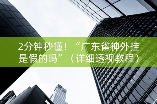 2分钟秒懂！“广东雀神外挂是假的吗”（详细透视教程）-哔哩哔哩