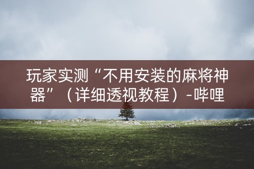 玩家实测“不用安装的麻将神器”（详细透视教程）-哔哩哔哩