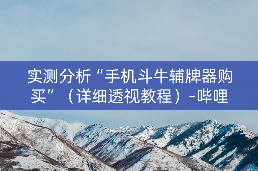 实测分析“手机斗牛辅牌器购买”（详细透视教程）-哔哩哔哩