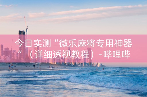 今日实测“微乐麻将专用神器”（详细透视教程）-哔哩哔哩