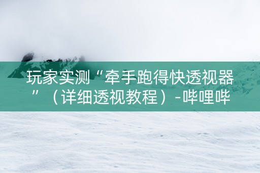 玩家实测“牵手跑得快透视器”（详细透视教程）-哔哩哔哩