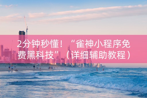 2分钟秒懂！“雀神小程序免费黑科技”（详细辅助教程）-哔哩哔哩