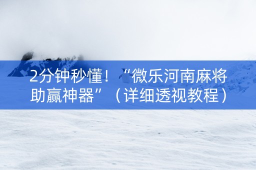 2分钟秒懂！“微乐河南麻将助赢神器”（详细透视教程）-哔哩哔哩