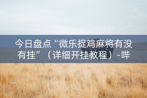 今日盘点“微乐捉鸡麻将有没有挂”（详细开挂教程）-哔哩哔哩