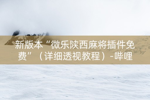 新版本“微乐陕西麻将插件免费”（详细透视教程）-哔哩哔哩