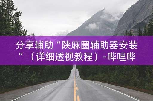 分享辅助“陕麻圈辅助器安装”（详细透视教程）-哔哩哔哩