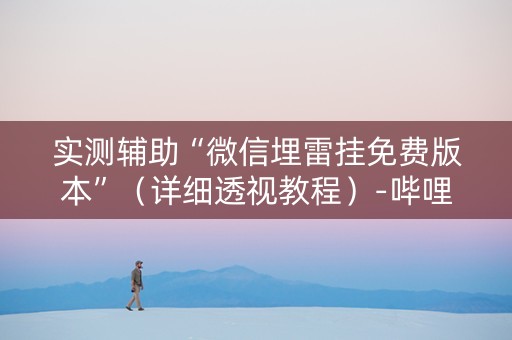 实测辅助“微信埋雷挂免费版本”（详细透视教程）-哔哩哔哩