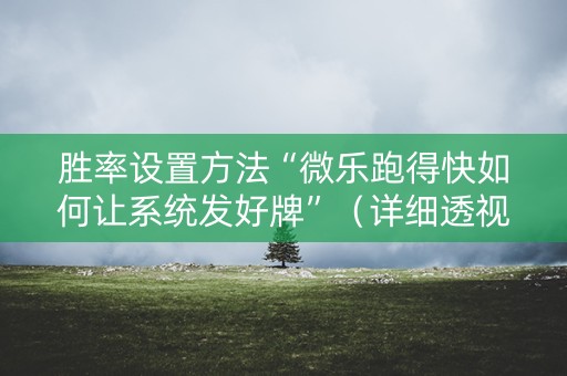 胜率设置方法“微乐跑得快如何让系统发好牌”（详细透视教程）-哔哩哔哩