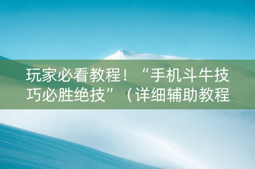 玩家必看教程！“手机斗牛技巧必胜绝技”（详细辅助教程）-哔哩哔哩
