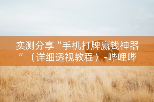实测分享“手机打牌赢钱神器”（详细透视教程）-哔哩哔哩