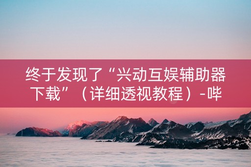 终于发现了“兴动互娱辅助器下载”（详细透视教程）-哔哩哔哩