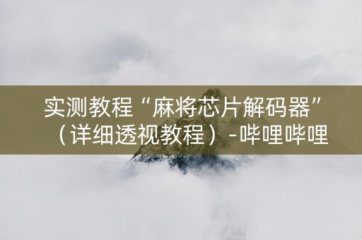 实测教程“麻将芯片解码器”（详细透视教程）-哔哩哔哩