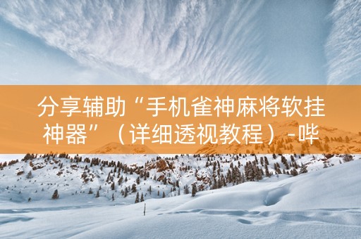分享辅助“手机雀神麻将软挂神器”（详细透视教程）-哔哩哔哩