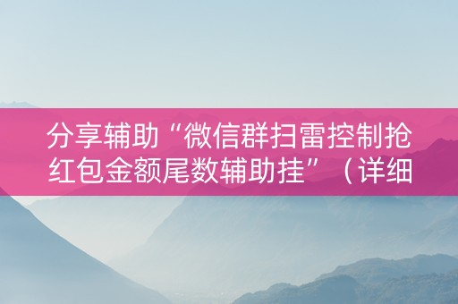 分享辅助“微信群扫雷控制抢红包金额尾数辅助挂”（详细透视教程）-哔哩哔哩