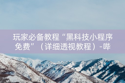 玩家必备教程“黑科技小程序免费”（详细透视教程）-哔哩哔哩