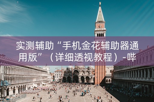 实测辅助“手机金花辅助器通用版”（详细透视教程）-哔哩哔哩