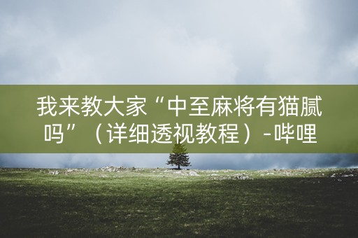 我来教大家“中至麻将有猫腻吗”（详细透视教程）-哔哩哔哩