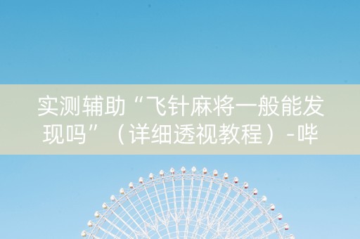实测辅助“飞针麻将一般能发现吗”（详细透视教程）-哔哩哔哩