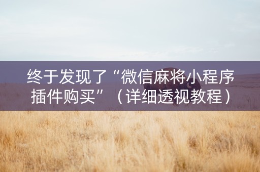 终于发现了“微信麻将小程序插件购买”（详细透视教程）-哔哩哔哩