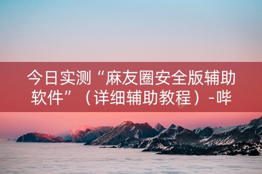今日实测“麻友圈安全版辅助软件”（详细辅助教程）-哔哩哔哩