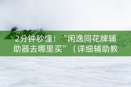2分钟秒懂！“闲逸同花牌辅助器去哪里买”（详细辅助教程）-哔哩哔哩
