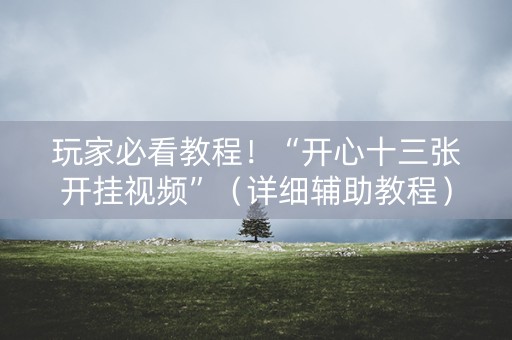 玩家必看教程！“开心十三张开挂视频”（详细辅助教程）-哔哩哔哩