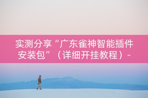 实测分享“广东雀神智能插件安装包”（详细开挂教程）-哔哩哔哩