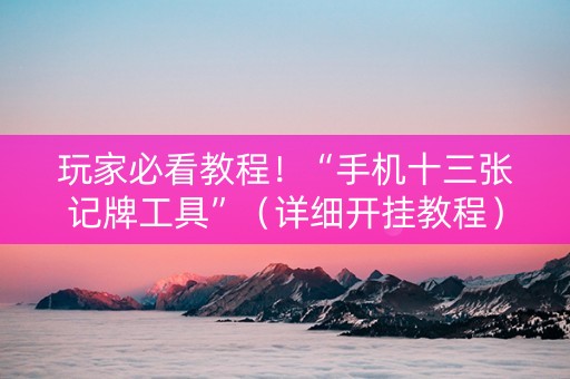 玩家必看教程！“手机十三张记牌工具”（详细开挂教程）-哔哩哔哩