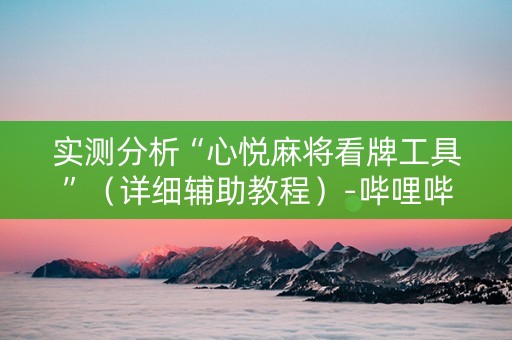 实测分析“心悦麻将看牌工具”（详细辅助教程）-哔哩哔哩