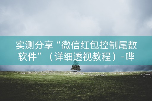 实测分享“微信红包控制尾数软件”（详细透视教程）-哔哩哔哩