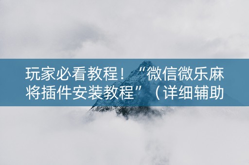 玩家必看教程！“微信微乐麻将插件安装教程”（详细辅助教程）-哔哩哔哩