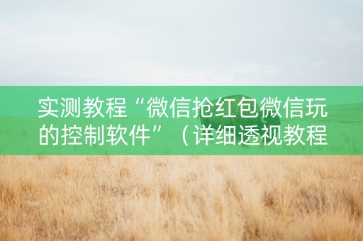 实测教程“微信抢红包微信玩的控制软件”（详细透视教程）-哔哩哔哩