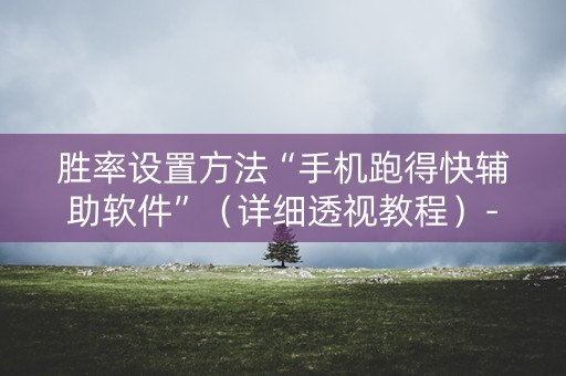 胜率设置方法“手机跑得快辅助软件”（详细透视教程）-哔哩哔哩