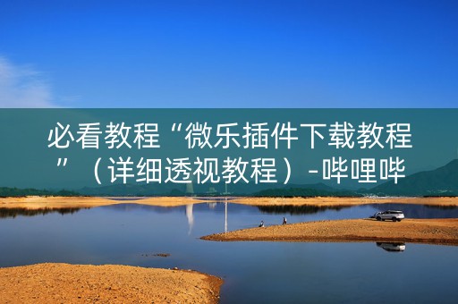 必看教程“微乐插件下载教程”（详细透视教程）-哔哩哔哩