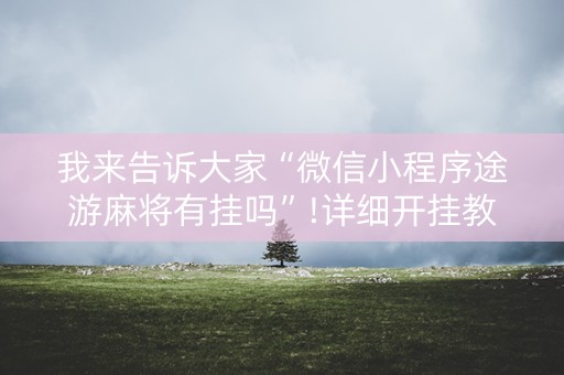 我来告诉大家“微信小程序途游麻将有挂吗”!详细开挂教程-知乎