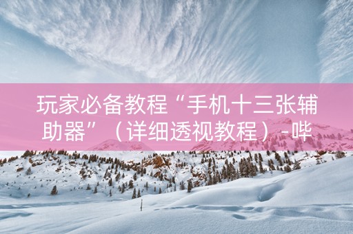玩家必备教程“手机十三张辅助器”（详细透视教程）-哔哩哔哩