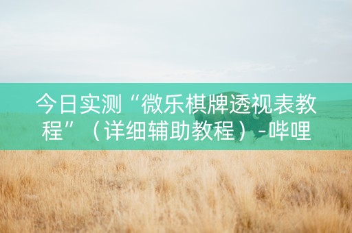 今日实测“微乐棋牌透视表教程”（详细辅助教程）-哔哩哔哩
