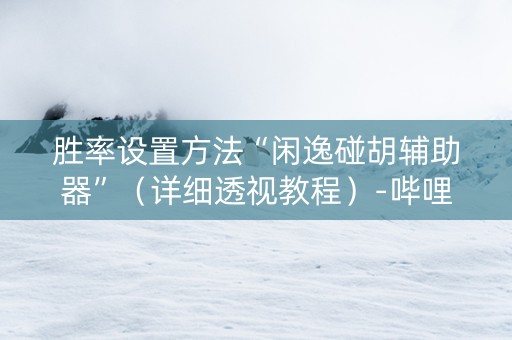胜率设置方法“闲逸碰胡辅助器”（详细透视教程）-哔哩哔哩
